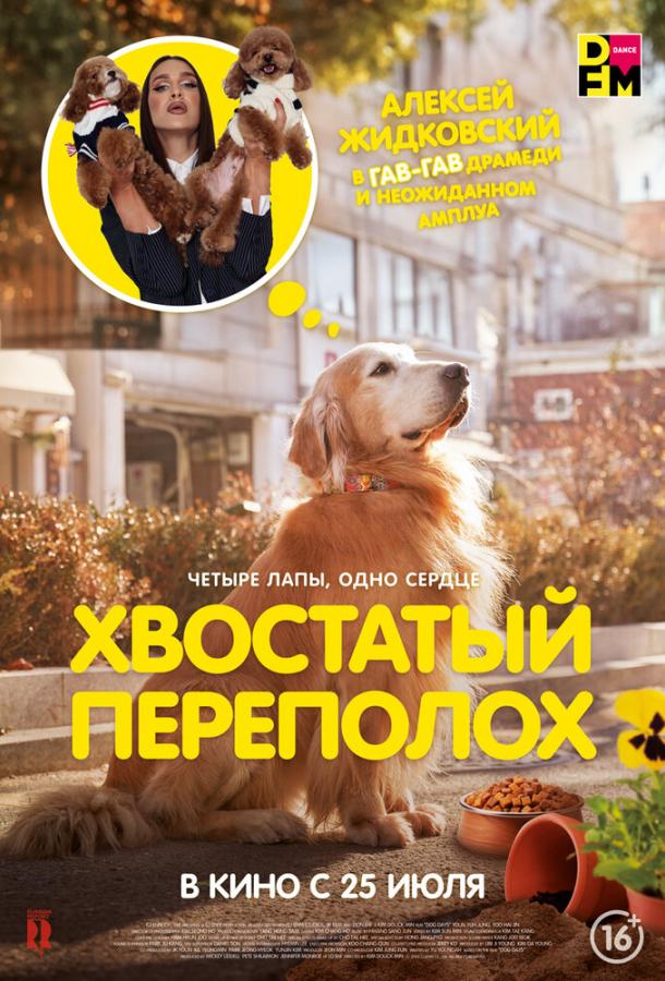 Смотреть Хвостатый переполох